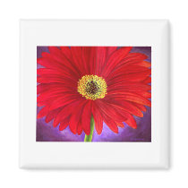 Red Daisy Gerber Flower Painting Art - Multi