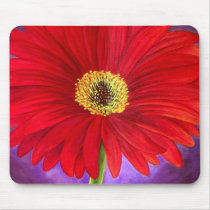 Red Daisy Gerber Flower Painting Art - Multi