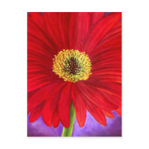 Red Daisy Gerber Flower Painting Art - Multi