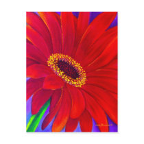 Red Daisy Gerber Flower Painting Art - Multi