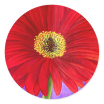 Red Daisy Gerber Flower Painting Art - Multi