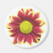 Red Daisy Magnet