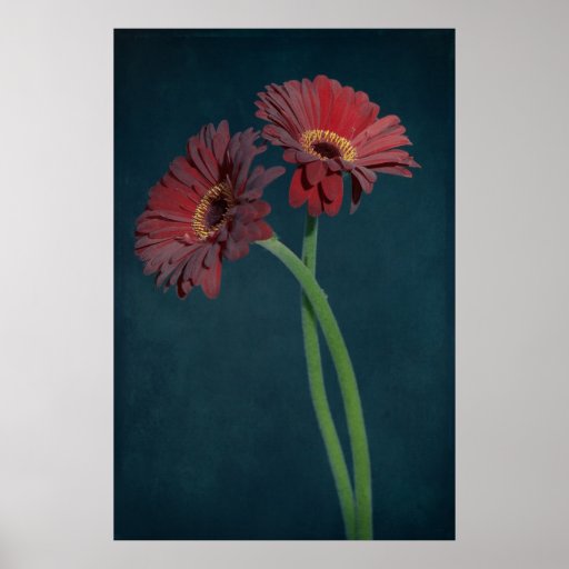 Red Daisy Posters