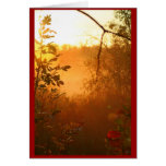 red dawn cards