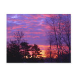 Red Dawn postcards