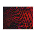 Red Dawn Postcards