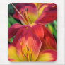 Red Daylily Mousepads