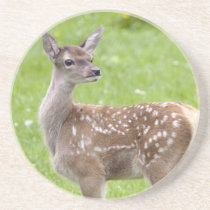 Red Deer Fawn Coaster