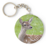 Red Deer Fawn Keyring Keychain