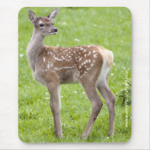 Red Deer Fawn Mousemat Mousepads