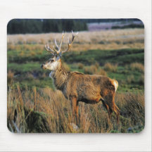 Red Deer Mousepad
