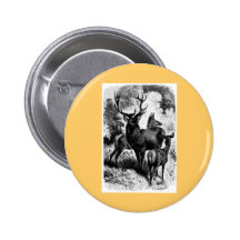 Red Deer Vintage Wood Engraving Button