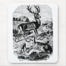 Red Deer Vintage Wood Engraving Mousepad