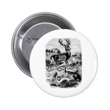 Red Deer Vintage Wood Engraving Pins