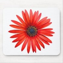 Red Devil Mousepad