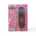 Red Door Keyhole cards