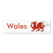 Red Dragon Bumper Stickers