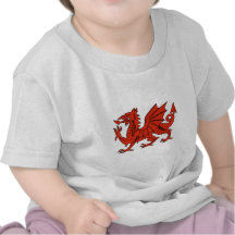 Red Dragon Tee Shirts