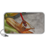 Red Dragonfly on Tiger Lily Mp3 Speakers