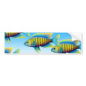 Red Empress Peacock Fish Bumper Sticker bumper stickers