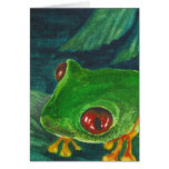 red eye green tree frog cards