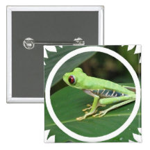 Red Eye Green Tree Frog Square Pin