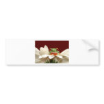 red eyed tree frog bumper stickers
