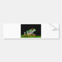 red eyed tree frog bumper sticker