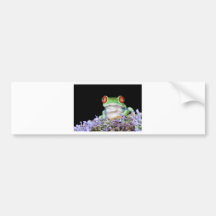 red eyed tree frog bumper sticker