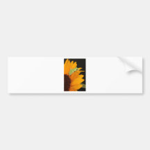red eyed tree frog bumper sticker