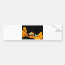 red eyed tree frog bumper stickers