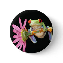 red eyed tree frog