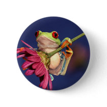 red eyed tree frog