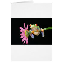 red eyed tree frog