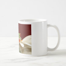 red eyed tree frog coffee mug