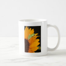 red eyed tree frog coffee mugs