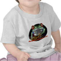 Red Eyed Tree Frog from Junglewalk.com