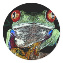 Red Eyed Tree Frog from JungleWalk