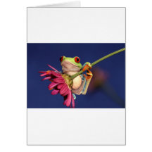 red eyed tree frog greeting card