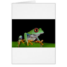 red eyed tree frog greeting cards