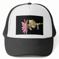 red eyed tree frog