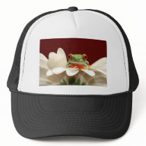 red eyed tree frog
