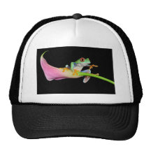 red eyed tree frog hats