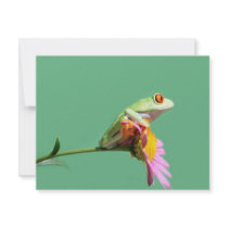 red eyed tree frog