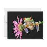 red eyed tree frog invitations