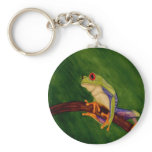 Red Eyed Tree Frog Keychain