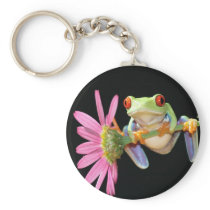 red eyed tree frog