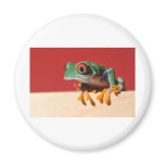 red eyed tree frog refrigerator magnets