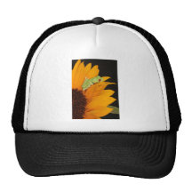 red eyed tree frog mesh hat