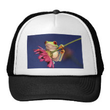 red eyed tree frog mesh hat